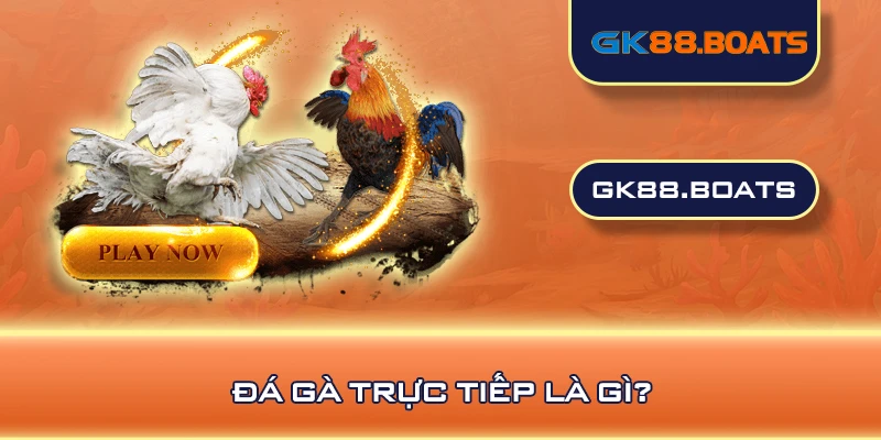 Đá gà trực tiếp là gì?