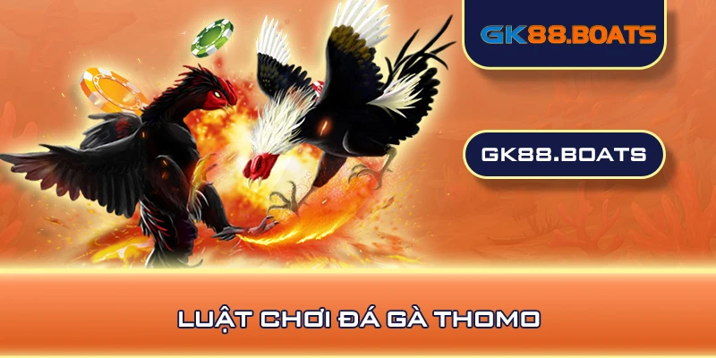 Luật chơi đá gà thomo