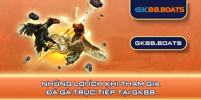 Những lợi ích khi tham gia đá gà trực tiếp tại GK88