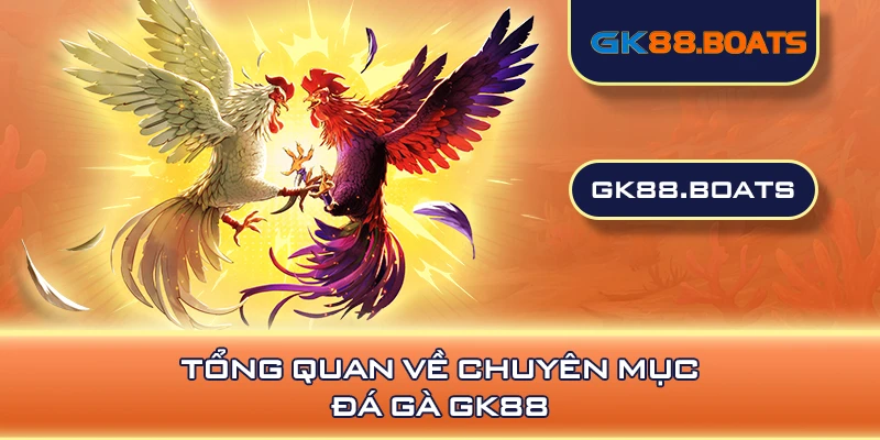 Tổng quan về chuyên mục đá gà GK88